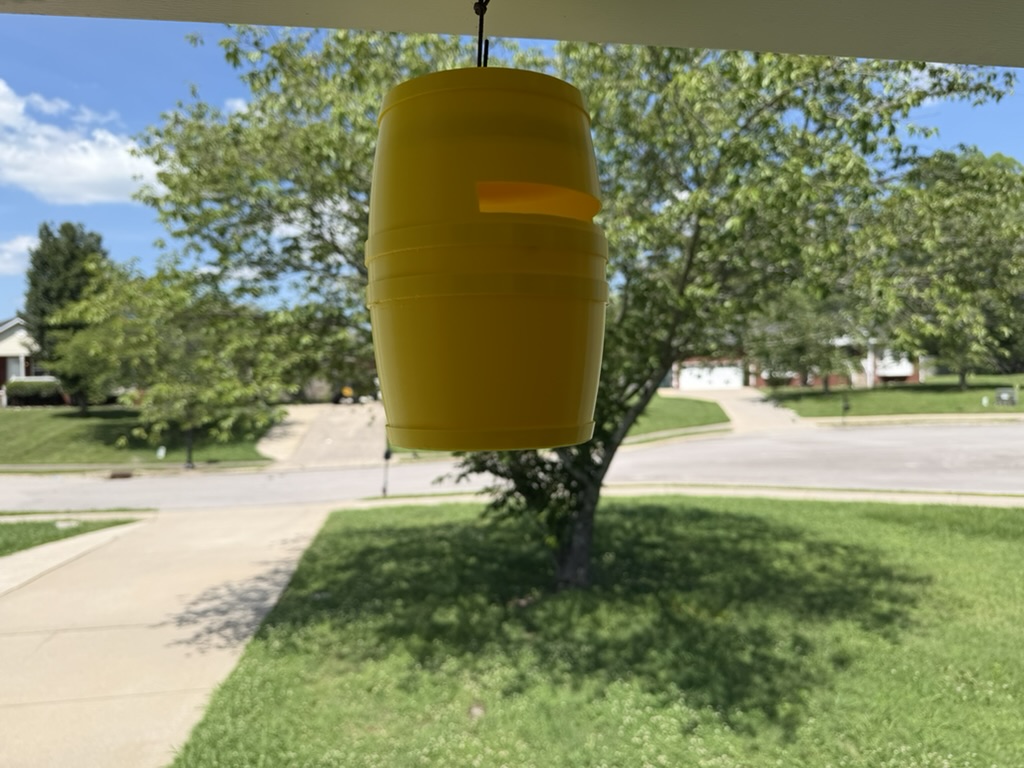 Yellow Queen's End trap hanging from porch